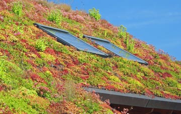 Dumbleton living roof systems
