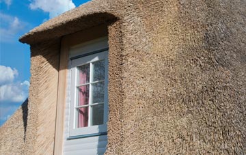 Dumbleton thatch roof disadvantages